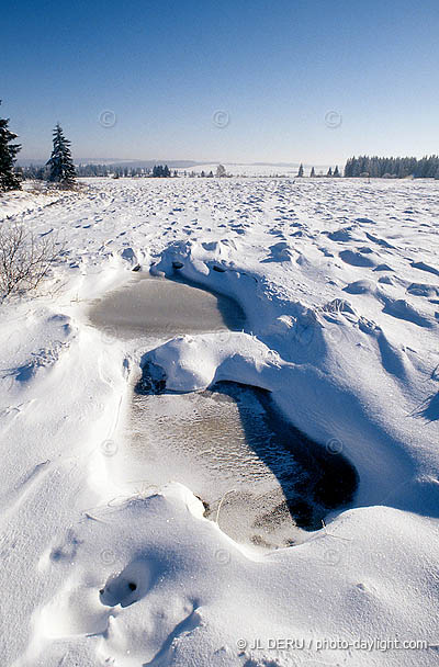 les Hautes Fagnes